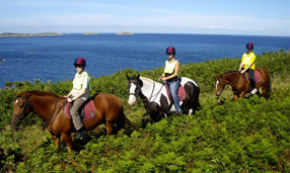 Horse Riding Isles of Scilly